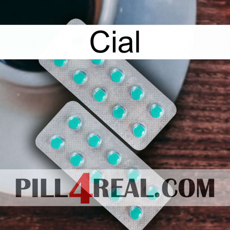 Cial 29